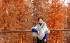 彩翼无遮挡漫画游泳